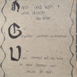 7.3 Lyrik zu den Nachhaltigkeitszielen (5)