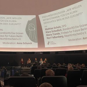 Klimazukunftskonferenz 2025 5